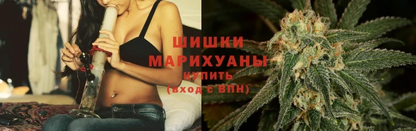 spice Гусев