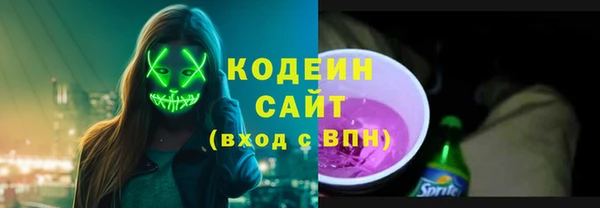 spice Гусев