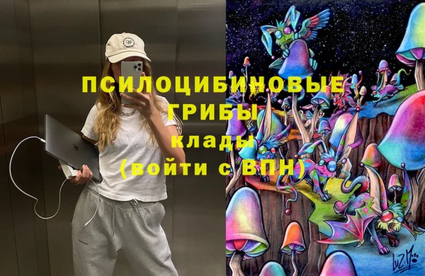 ГАЛЛЮЦИНОГЕННЫЕ ГРИБЫ Гусь-Хрустальный