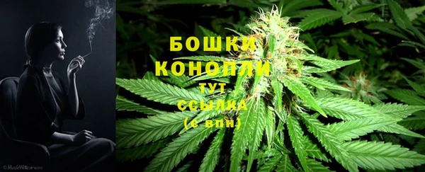 ГАЛЛЮЦИНОГЕННЫЕ ГРИБЫ Гусь-Хрустальный