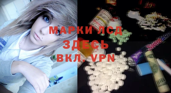 spice Гусев