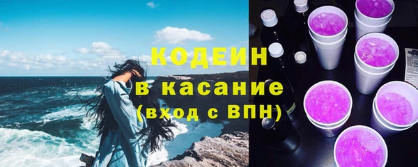 ГАЛЛЮЦИНОГЕННЫЕ ГРИБЫ Гусь-Хрустальный