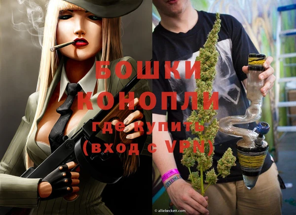 spice Гусев