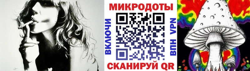 Галлюциногенные грибы GOLDEN TEACHER  OMG как зайти  Челябинск  наркотики 